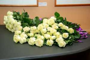 VVPM7361